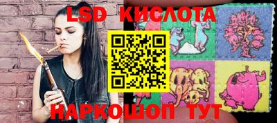 дживик Кимры