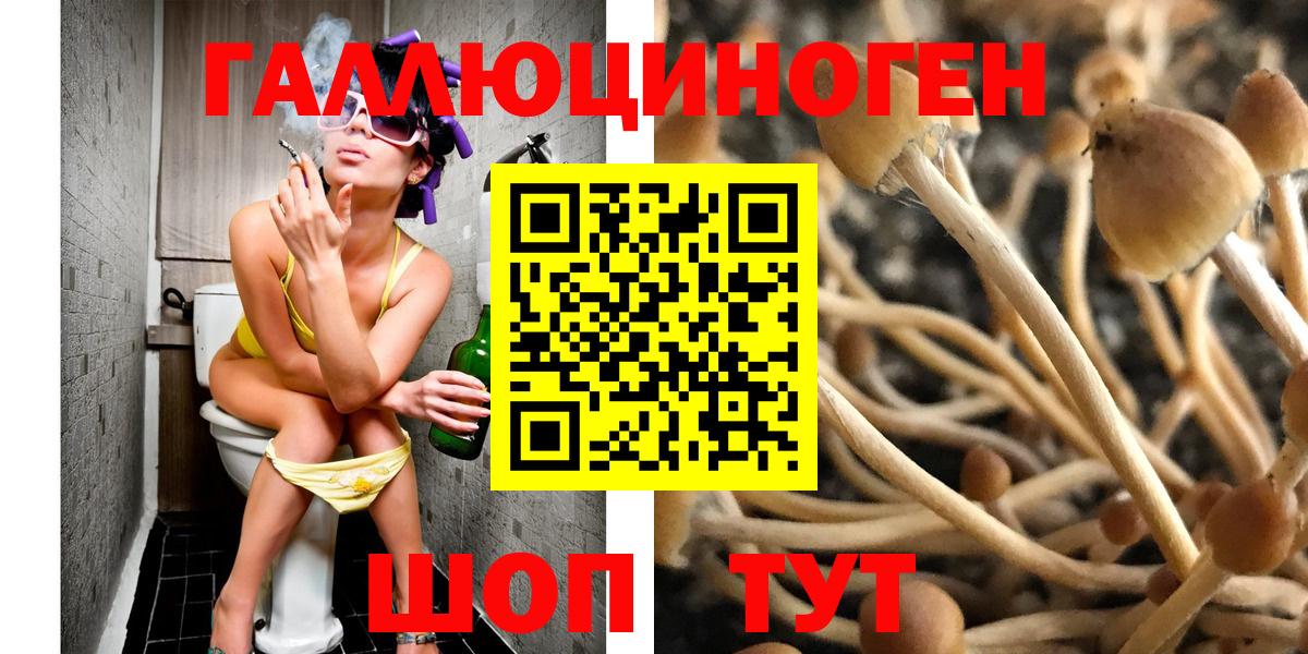 Галлюциногенные грибы мицелий Лениногорск