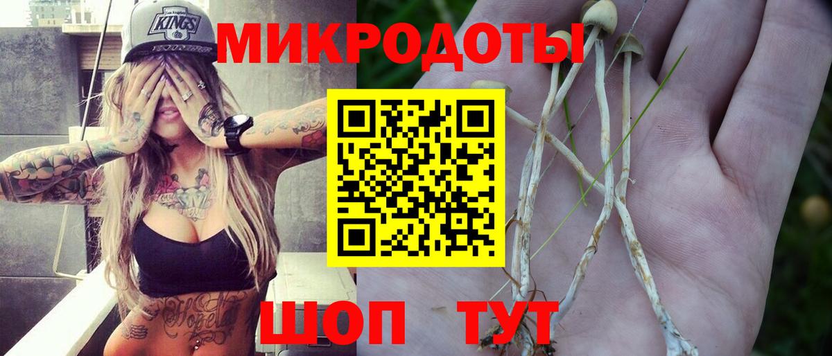 Лениногорск  Псилоцибиновые грибы прущие грибы  Вход с VPN 