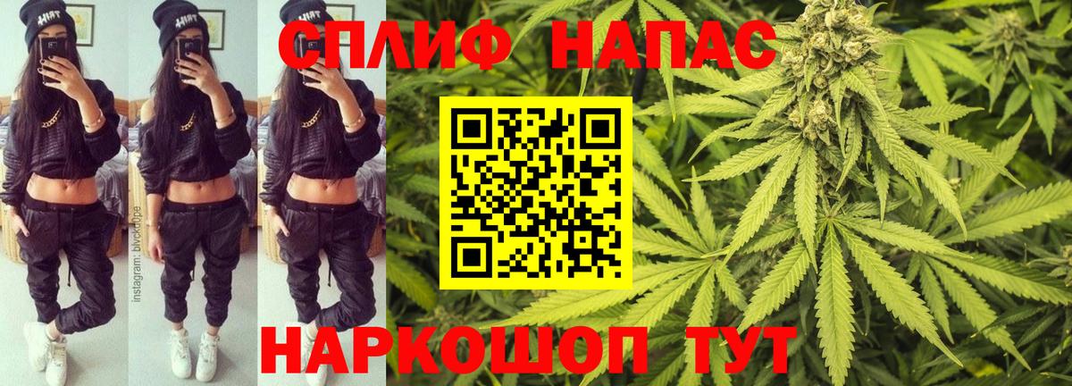 Бошки марихуана семена Лениногорск